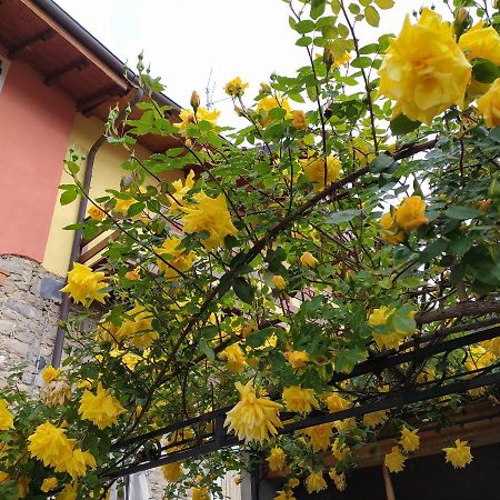 Lakes & Hills Villa Nebbiuno Exterior foto